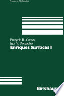 Enriques Surfaces I /