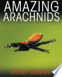 Amazing arachnids /
