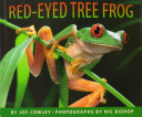 Red-eyed tree frog /