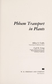 Phloem transport in plants /