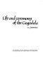 Aida : life and ceremony of the Gogodala /