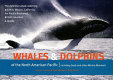 Whales & dolphins of the North American Pacific : including seals & other marine mammals /