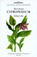 The genus Cypripedium /