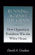 Running against the grain : how opposition presidents win the White House /