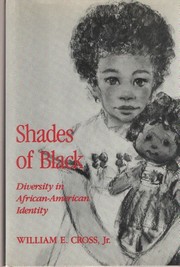 Shades of Black : diversity in African-American identity /