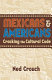 Mexicans & Americans : cracking the cultural code /