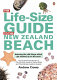 The life-size guide to the New Zealand beach /
