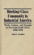 Working-class community in industrial America : work, leisure, and struggle in two industrial cities, 1880-1930 /