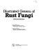 Illustrated genera of rust fungi /