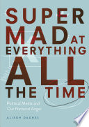 Super Mad at Everything All the Time : Political Media and Our National Anger /