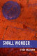 Small wonder : global power and its discontents /