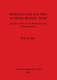 Settlements and cult sites on Mount Hermon, Israel : Ituraean culture in the Hellenistic and Roman periods /