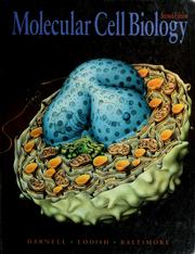 Molecular cell biology /