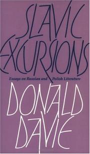 Slavic excursions : essays on Russian and Polish literature /