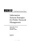 Information systems strategies for public financial management /
