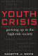 Youth crisis : growing up in the high-risk society /