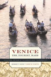 Venice, the tourist maze : a cultural critique of the world's most touristed city /