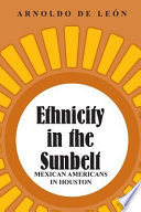 Ethnicity in the sunbelt : Mexican Americans in Houston /