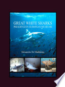 Great white sharks preserved in European museums /