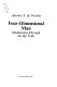 Four-dimensional man : meditations through the Rg Veda /