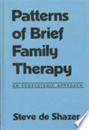 Patterns of brief family therapy : an ecosystemic approach /