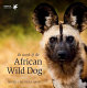 In search of the African wild dog : the right to survive /
