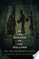 In the shadow of the gallows : race, crime, and American civic identity /
