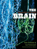 The brain : big bangs, behaviors, and beliefs /