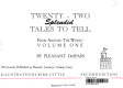 Twenty two splendid tales to tell, from around the world /