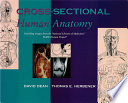 Cross-sectional human anatomy /