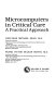 Microcomputers in critical care : a practical approach /