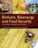 Biofuels, bioenergy and food security : technology, institutions and policies /