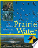 Prairie water : wildlife at Beaverhills Lake, Alberta /