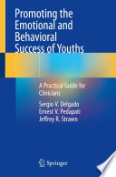 Promoting the Emotional and Behavioral Success of Youths : A Practical Guide for Clinicians /