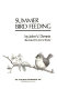 Summer bird feeding /