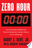 Zero hour : turn the greatest political and financial upheaval in modern history to your advantage /