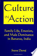 Culture in action : family life, emotion, and male dominance in Banaras, India /