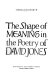 The shape of meaning in the poetry of David Jones /