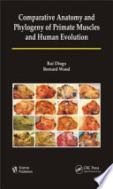 Comparative anatomy and phylogeny of primate muscles and human evolution /