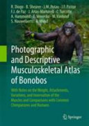 Photographic and descriptive musculoskeletal atlas of bonobos : with notes on the weight, attachments, variations, and innervation of the muscles and comparisons with common chimpanzees and humans /