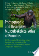 Photographic and Descriptive Musculoskeletal Atlas of Bonobos : With Notes on the Weight, Attachments, Variations, and Innervation of the Muscles and Comparisons with Common Chimpanzees and Humans /