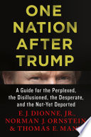 One nation after Trump : a guide for the perplexed, the disillusioned, the desperate, and the not-yet deported /