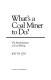 What's a coal miner to do? : the mechanization of coal mining /