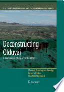 Deconstructing Olduvai : a taphonomic study of the Bed 1 sites /