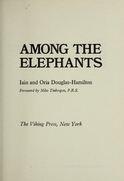 Among the elephants /