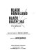 Black homeland/Black diaspora : cross-currents of the African relationship /