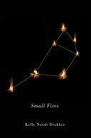 Small fires /