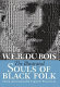 The illustrated Souls of Black folk /