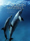 Dolphin mysteries : unlocking the secrets of communication /