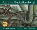 Here is the tropical rain forest /